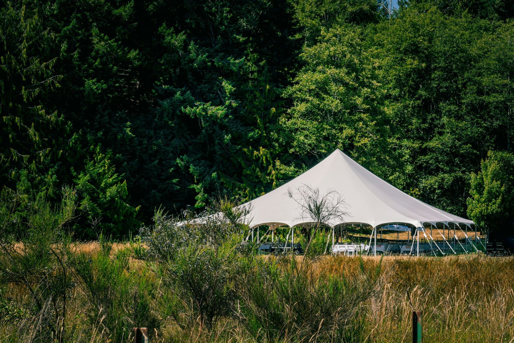 White wedding tent in an open field
